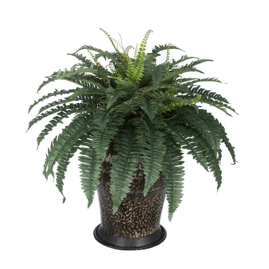 House of Silk Flowers Artificial Fern Floor Plant in Planter Wayfair