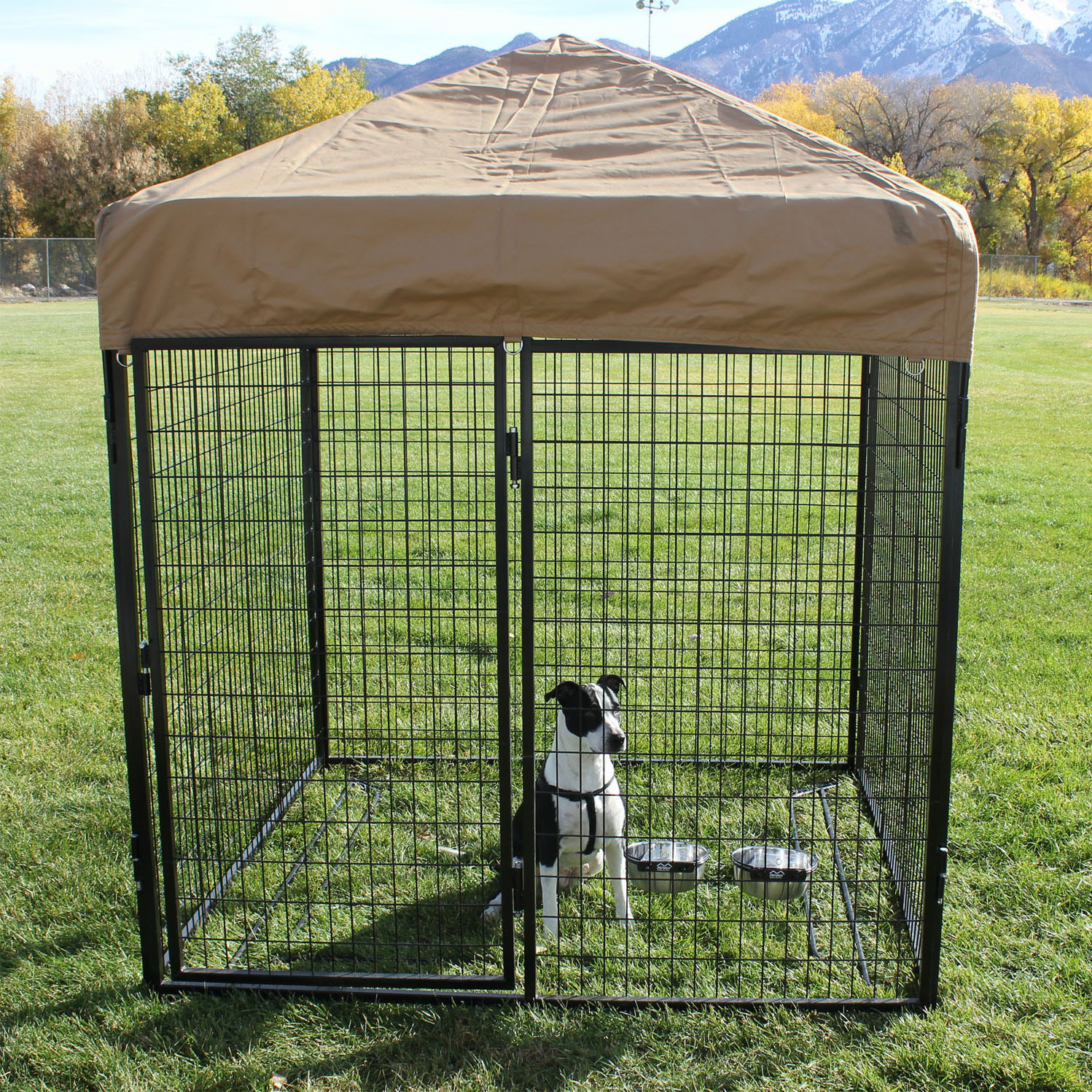 Modular Complete Welded Wire Steel Yard Kennel Wayfair