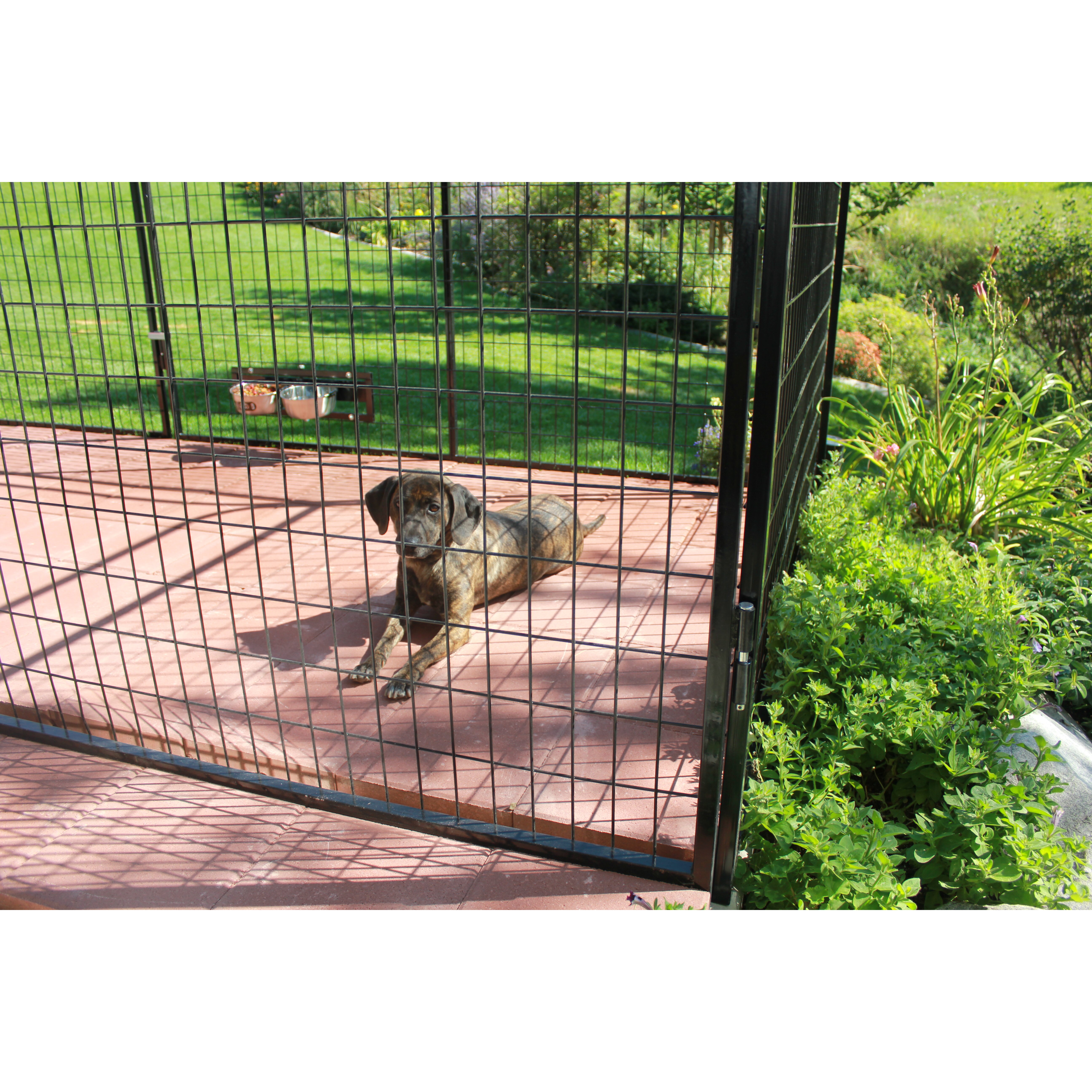 K9 Kennel Basic Welded Wire Steel Yard Kennel & Reviews Wayfair