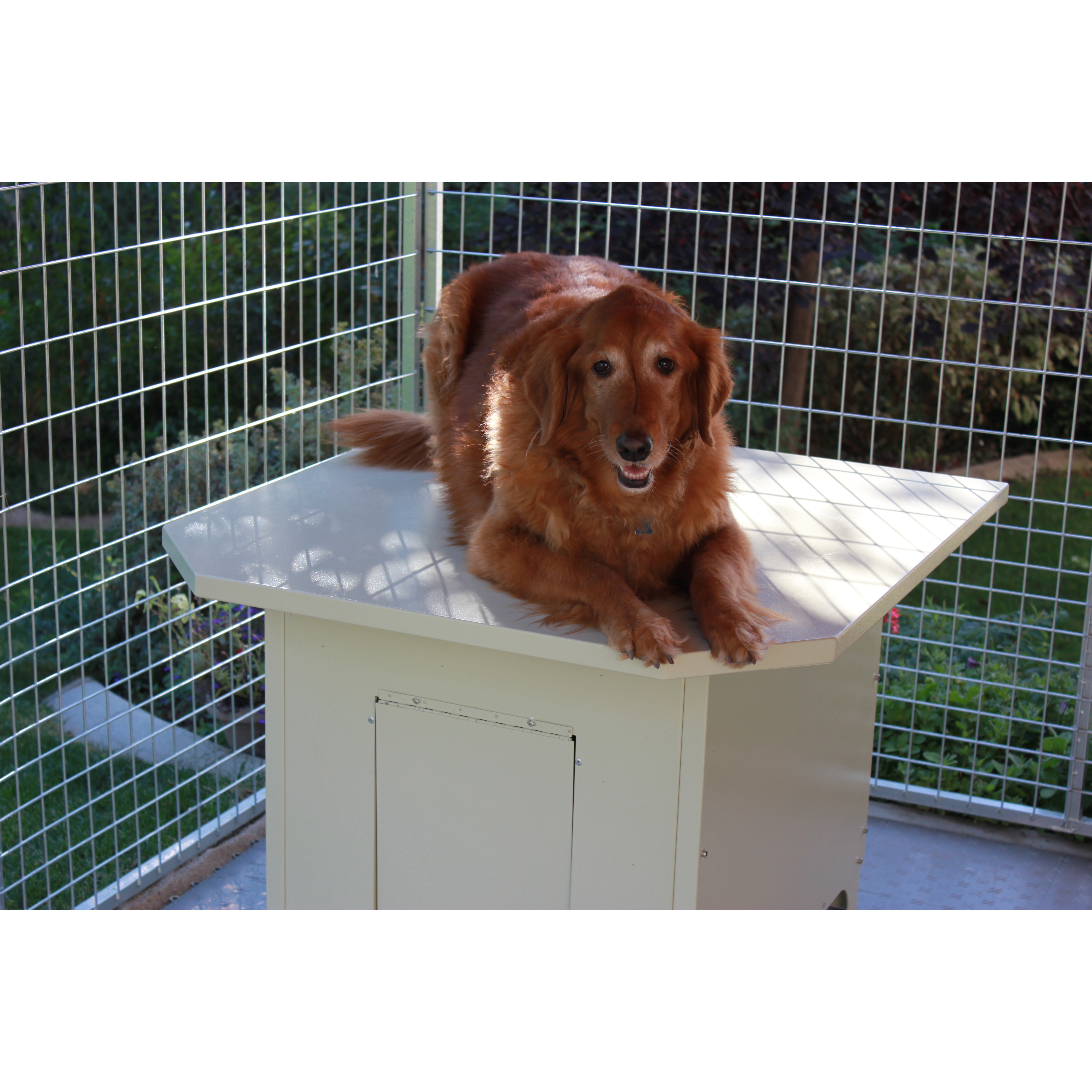 Insulated Steel Dog House Wayfair