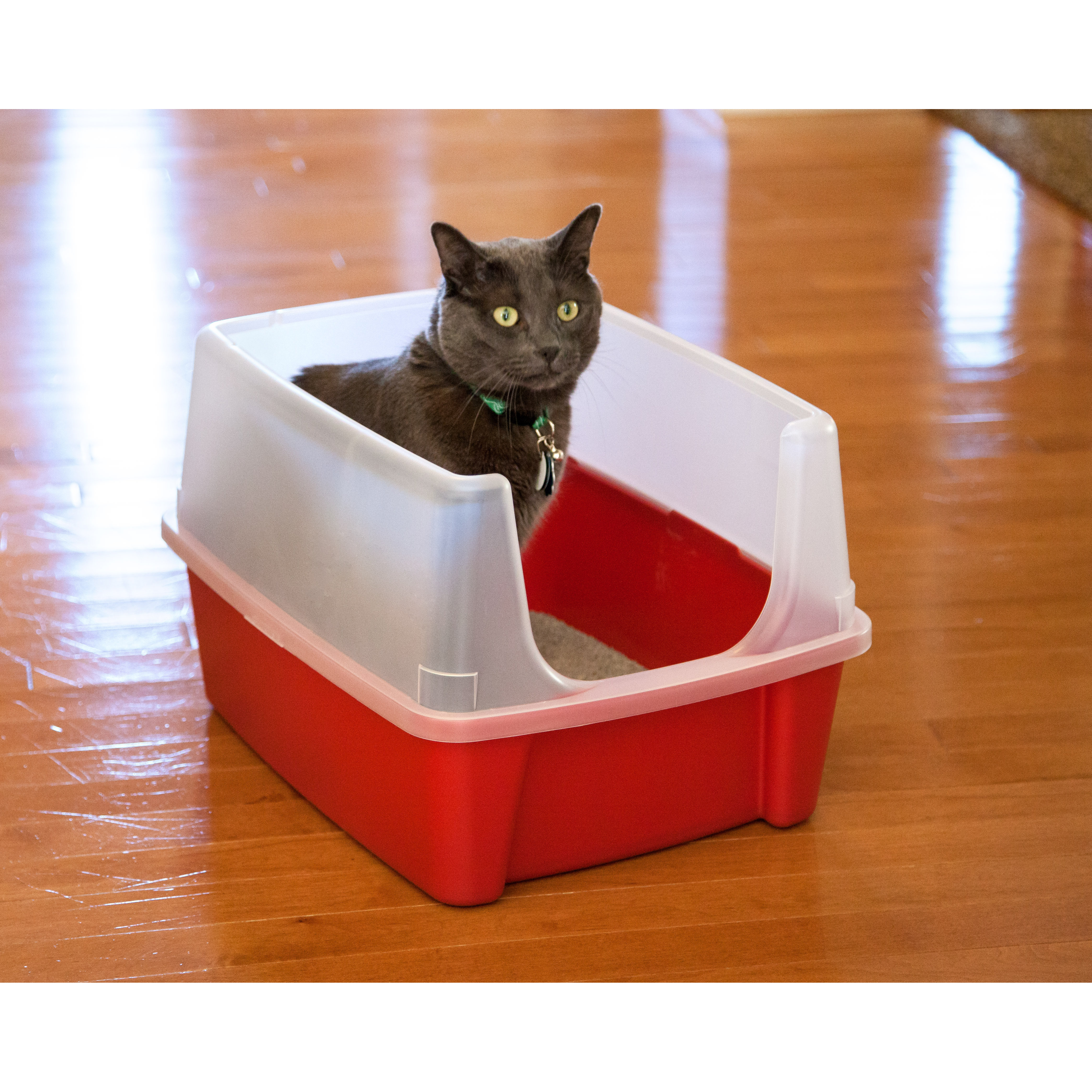 Litter Box Wayfair
