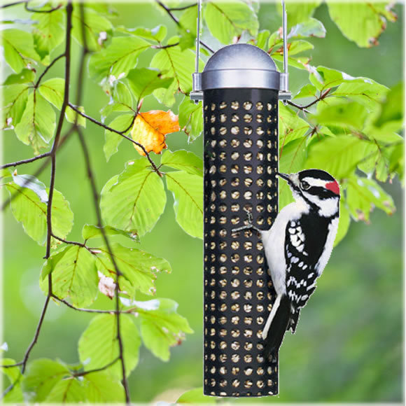 Sunflower Seed and Peanut Bird Feeder Wayfair UK