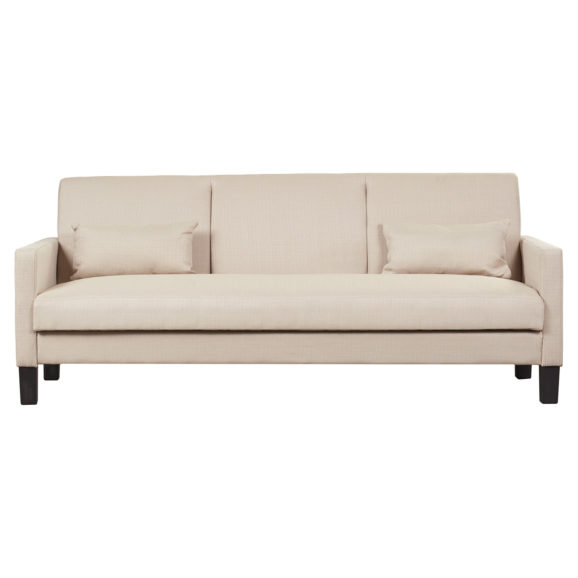 Zipcode™ Design Hudson Sleeper Sofa & Reviews Wayfair