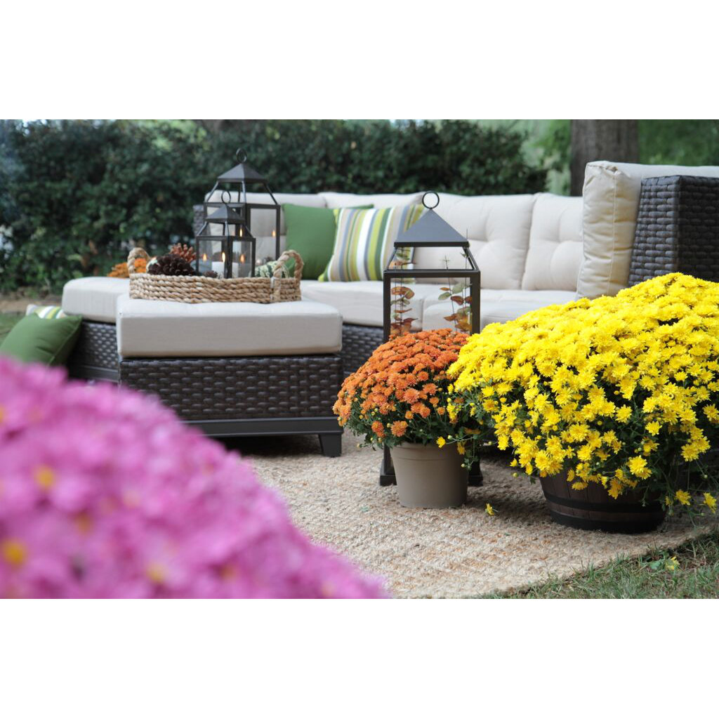 AE Outdoor Hillborough 4 Piece Sectional with Cushions ... AE Outdoor Hillborough 4 Piece Sectional with Cushions ... on Outdoor 4 Piece Sectional id=41723