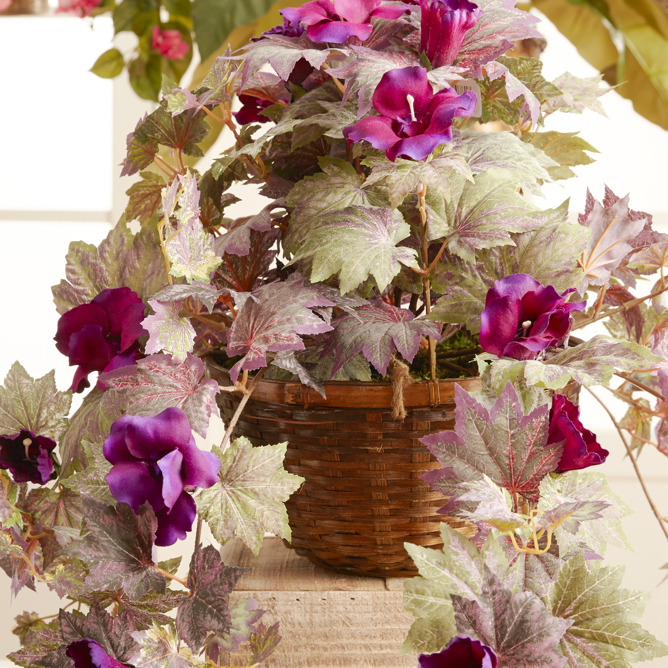 Silk Morning Glory Hanging Plant in Basket Wayfair