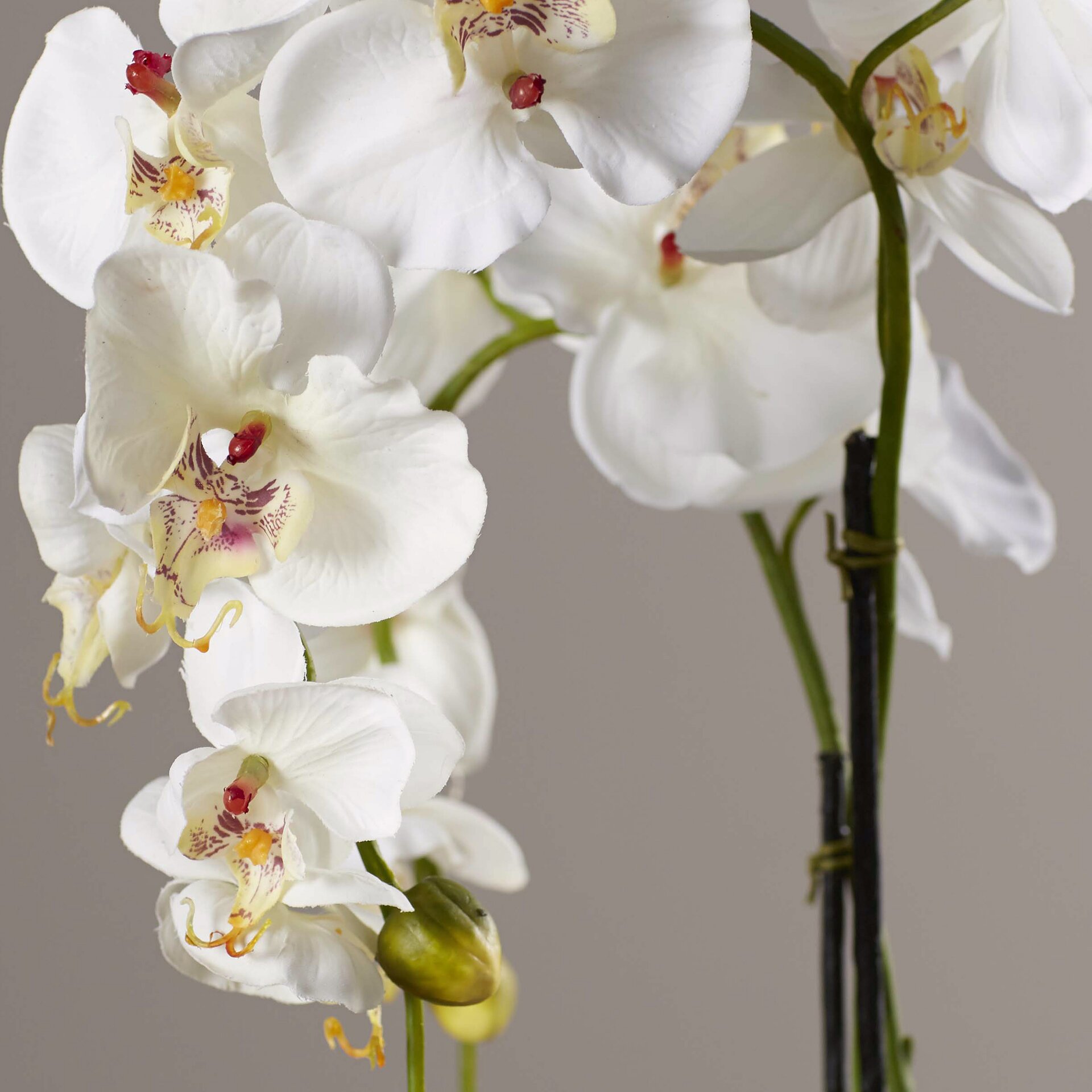 Faux white orchid plant