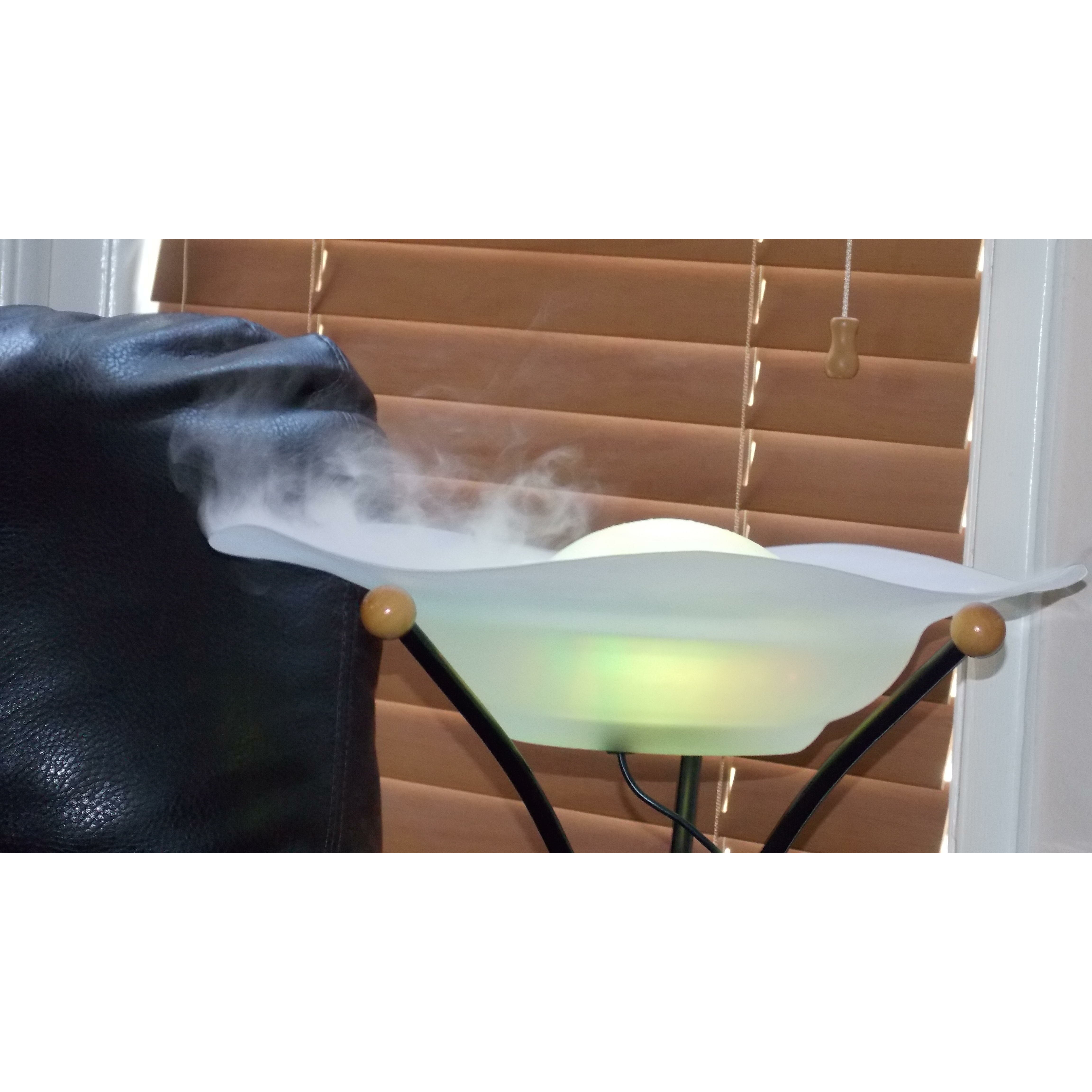 Glass Canary Table Top Mist Fountain/Aroma Diffuser With Inline Control