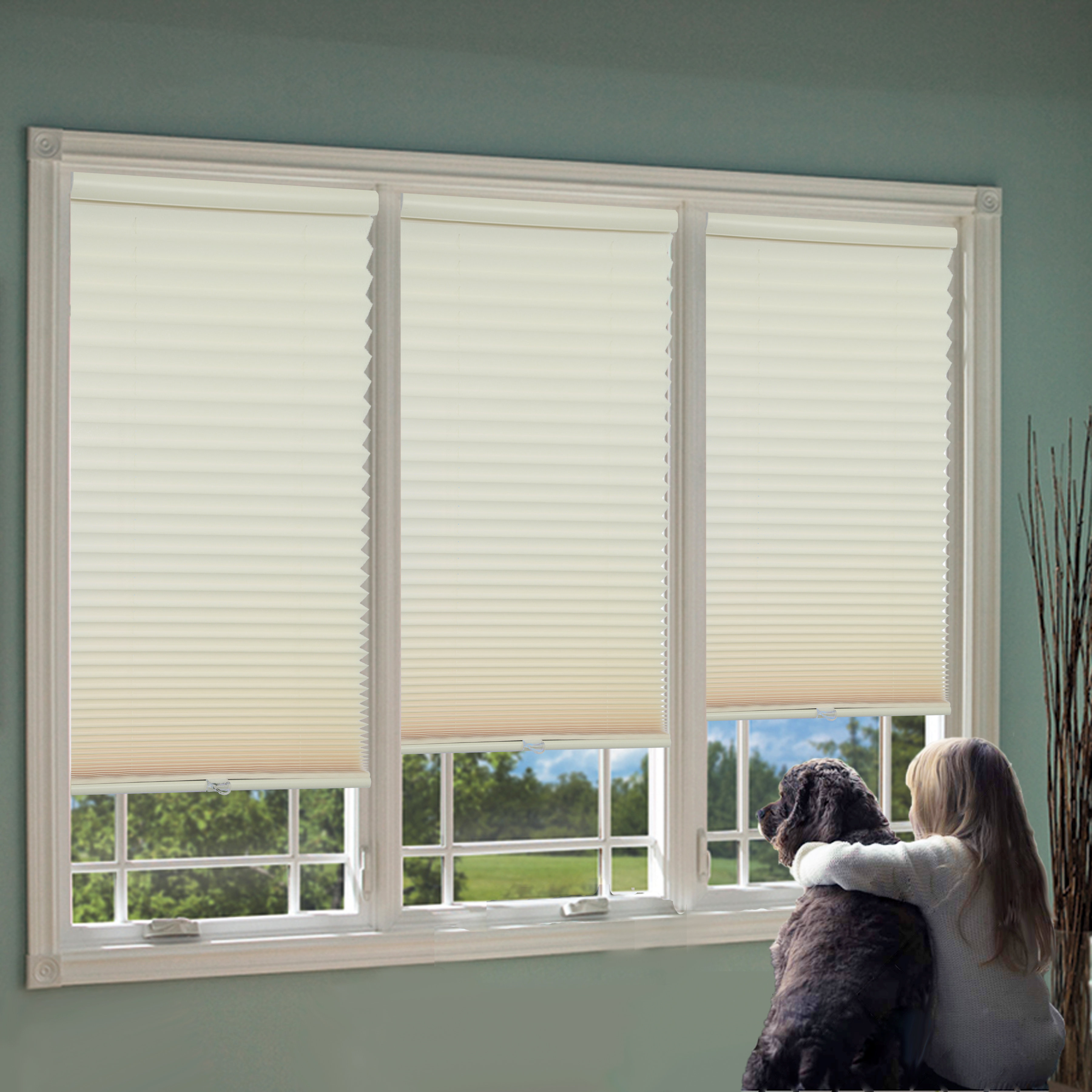 Light Filtering Cordless Pleated Shade Wayfair
