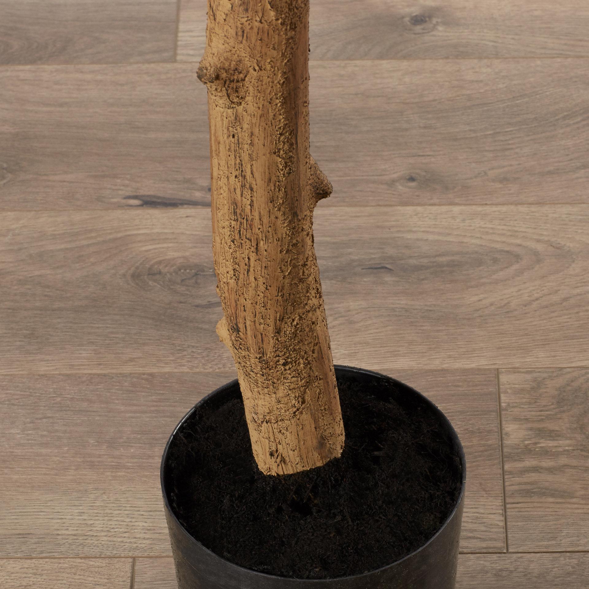 Silk Dogwood Tree in Pot Wayfair