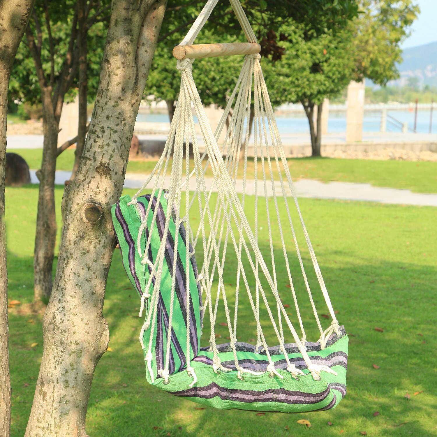 Tree Hanging Suspended Indoor Outdoor Hammock Chair Wayfair