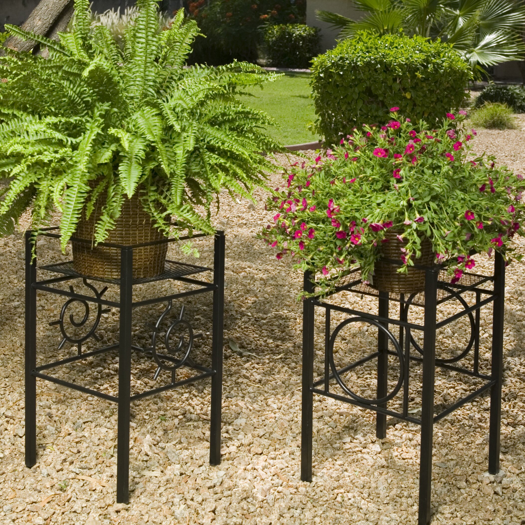 Plant Stand | Wayfair