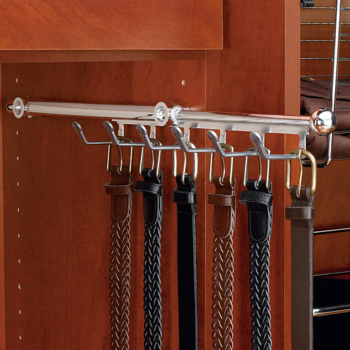 PullOut Belt Scarf Organizer Wayfair