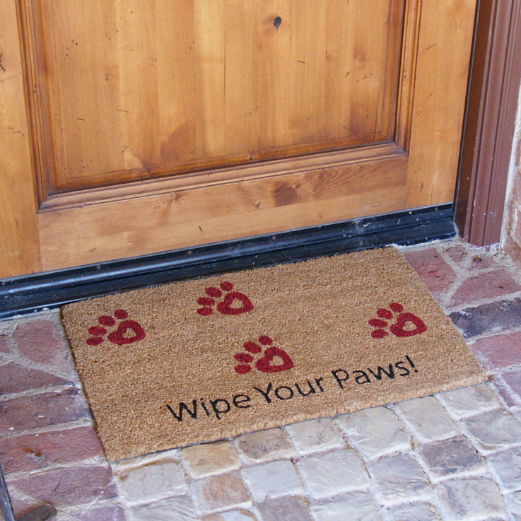 Wipe Your Paws! Animal Doormat Wayfair