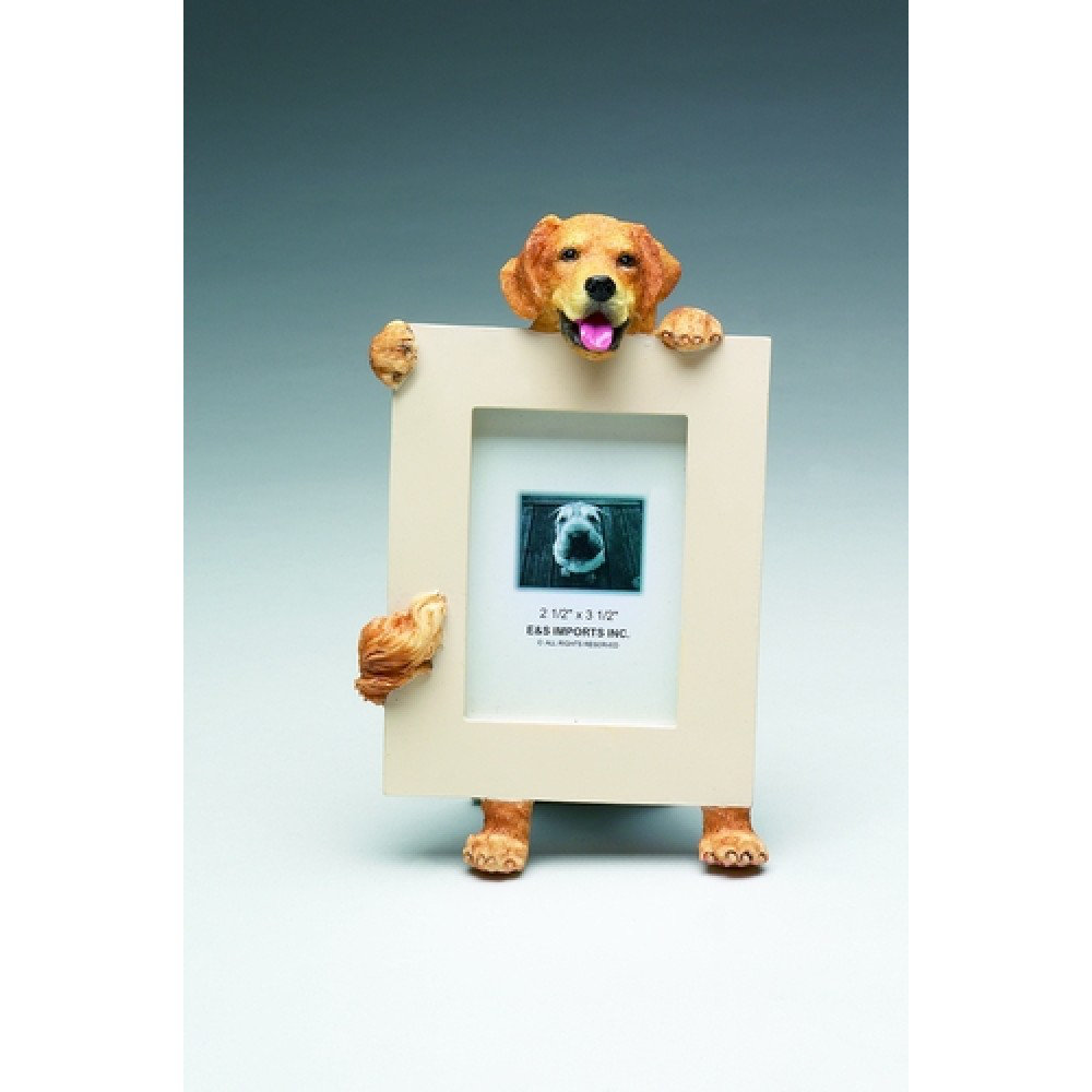 Golden Retriever Picture Frame Wayfair