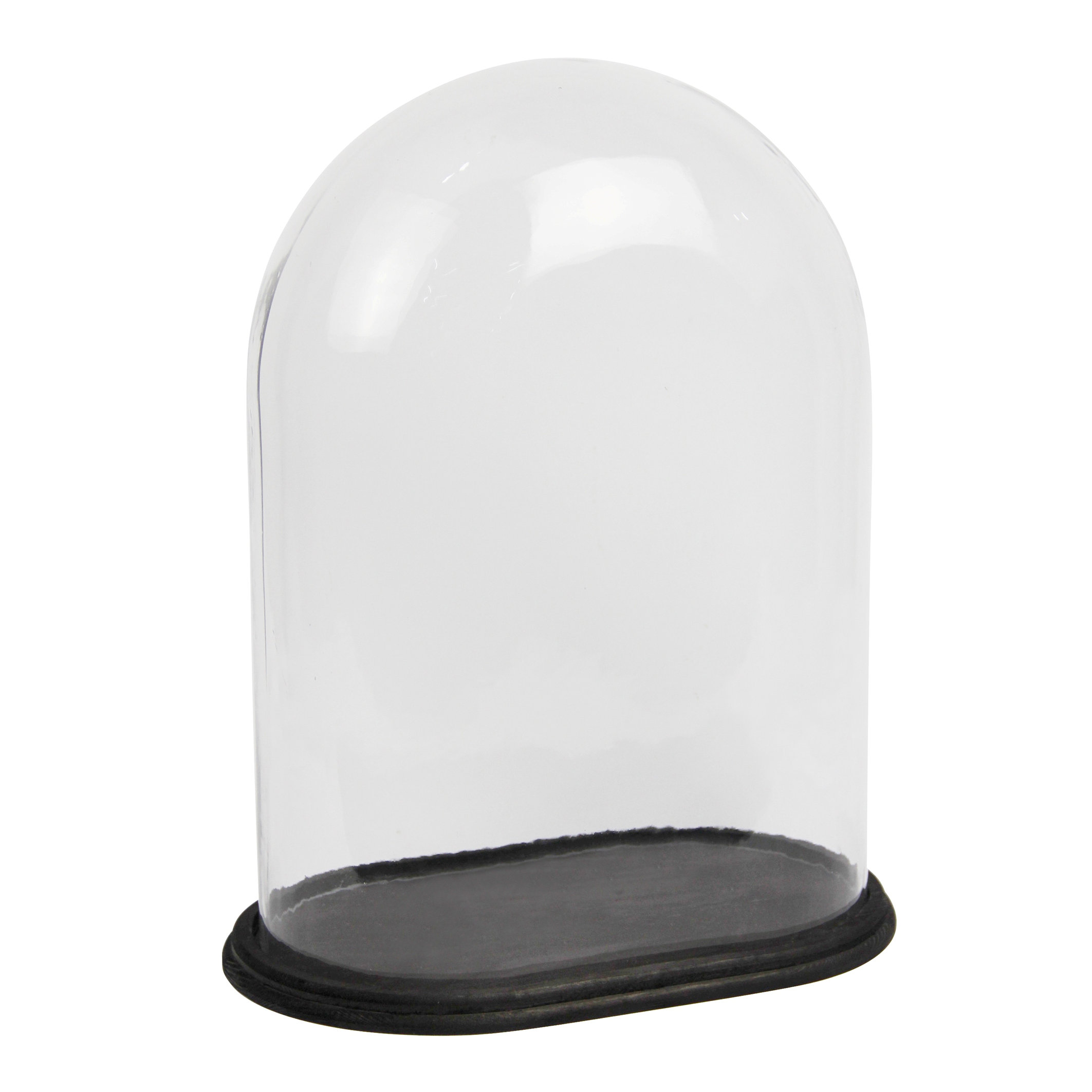 Darby Home Co Glass Dome Oval on Base & Reviews Wayfair