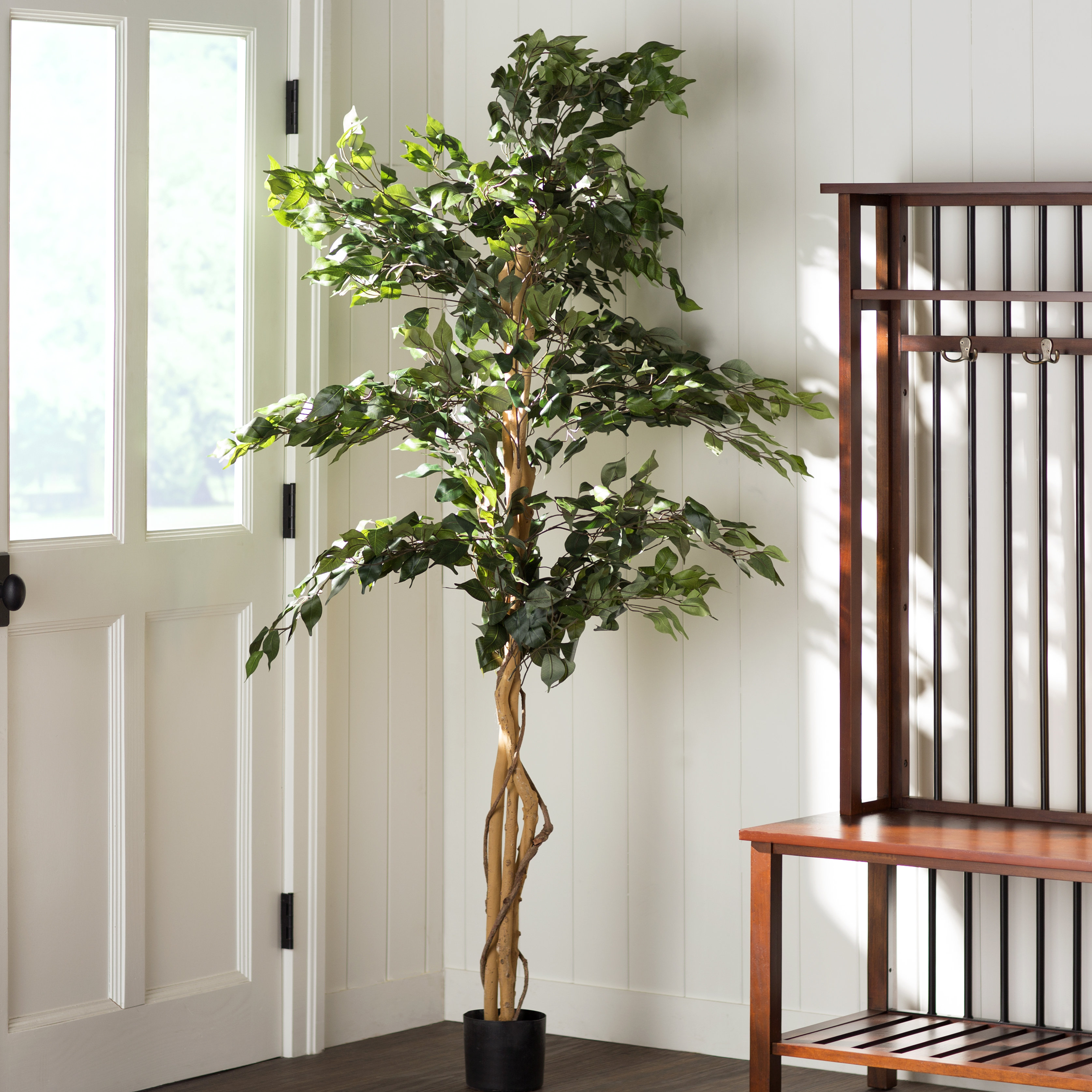 Alcott Hill Parkes Silk Ficus Tree in Pot & Reviews Wayfair