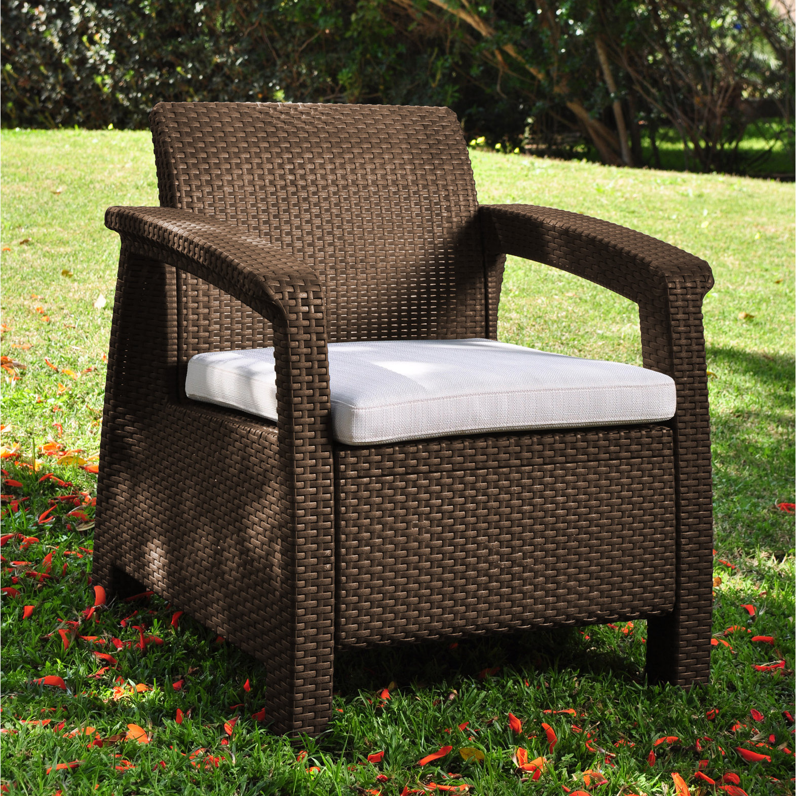 Colona All Weather Outdoor Arm Chair with Cushion Wayfair