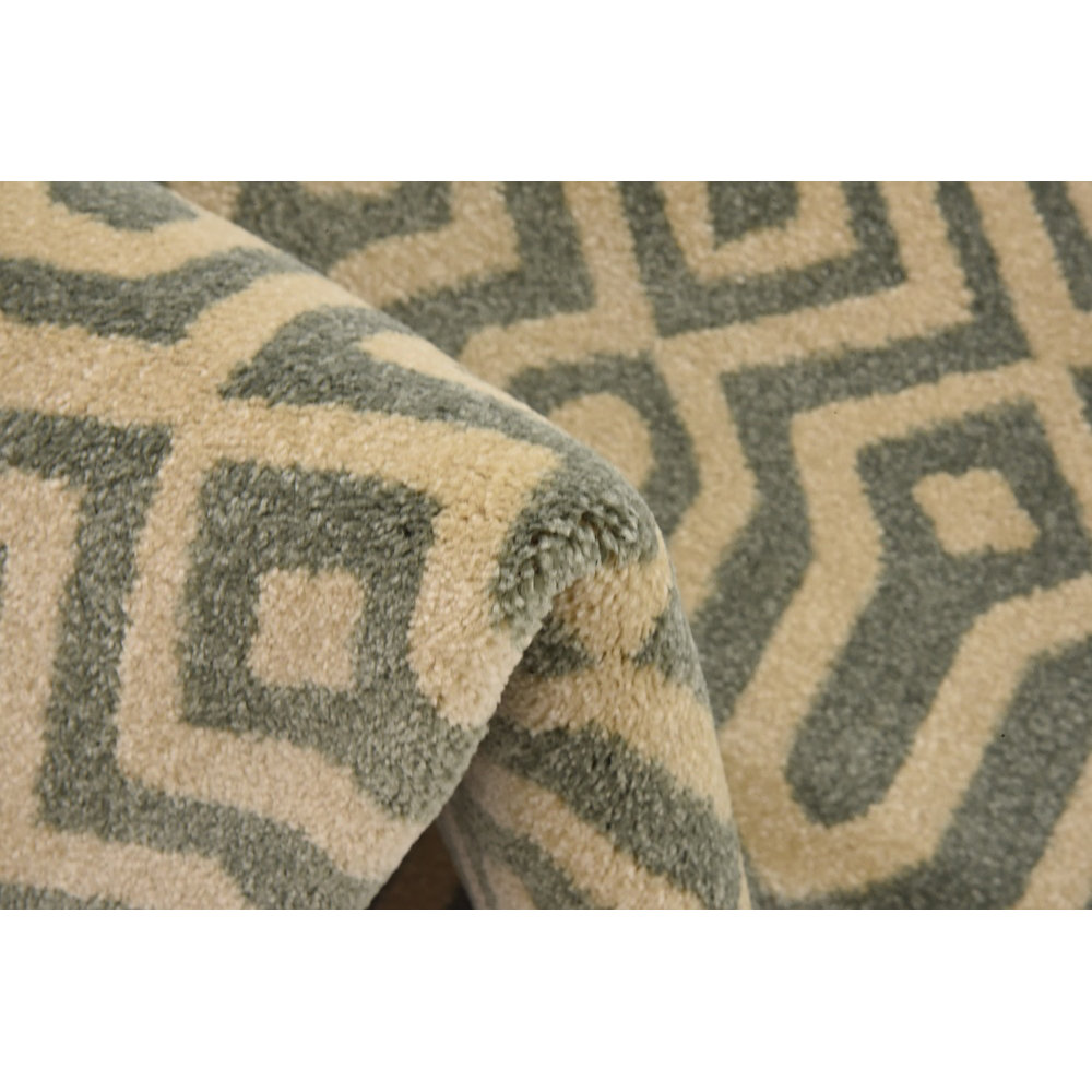 Trellis Light Blue Area Rug Wayfair