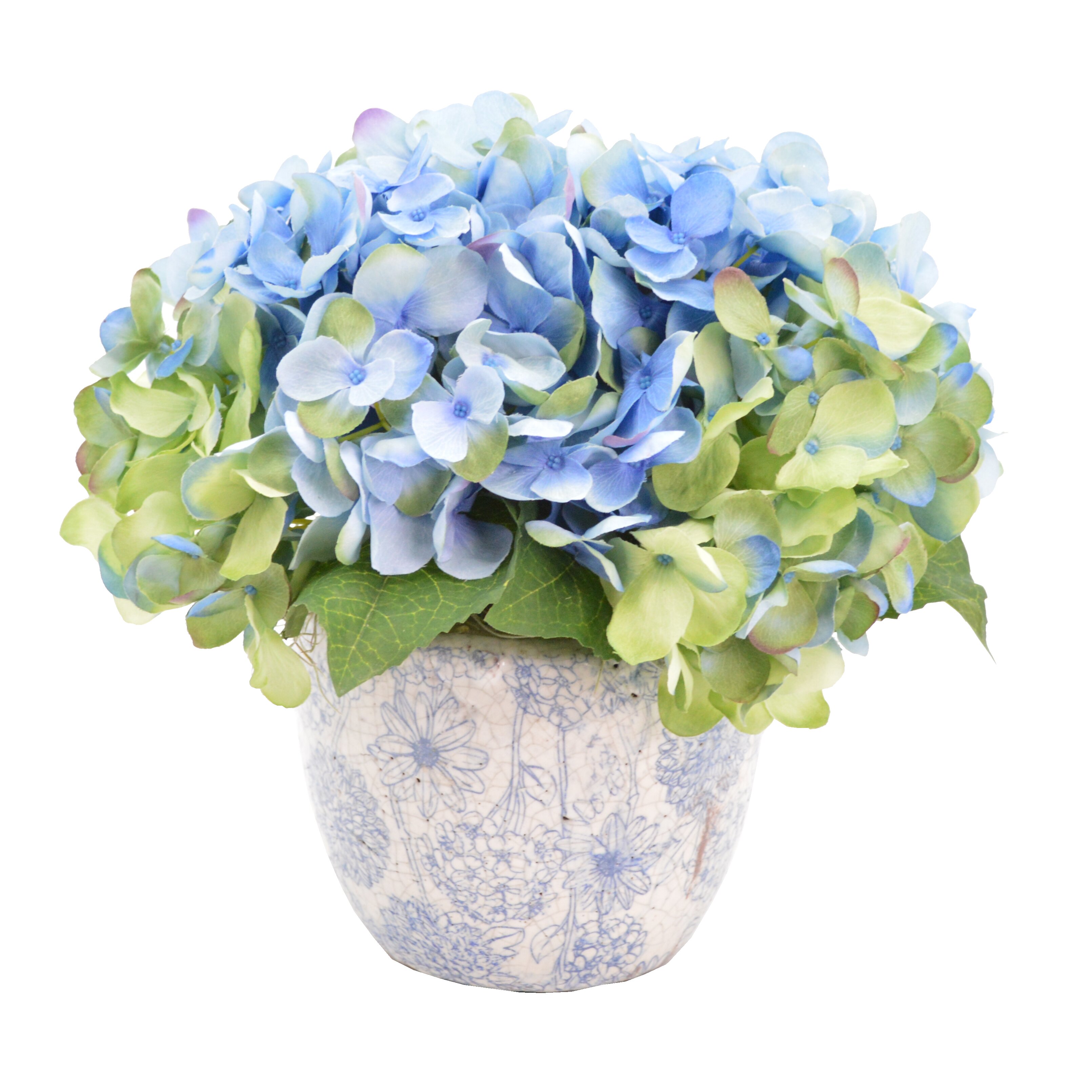 Multi Shade Hydrangea Cluster in Flowered Pot | Wayfair