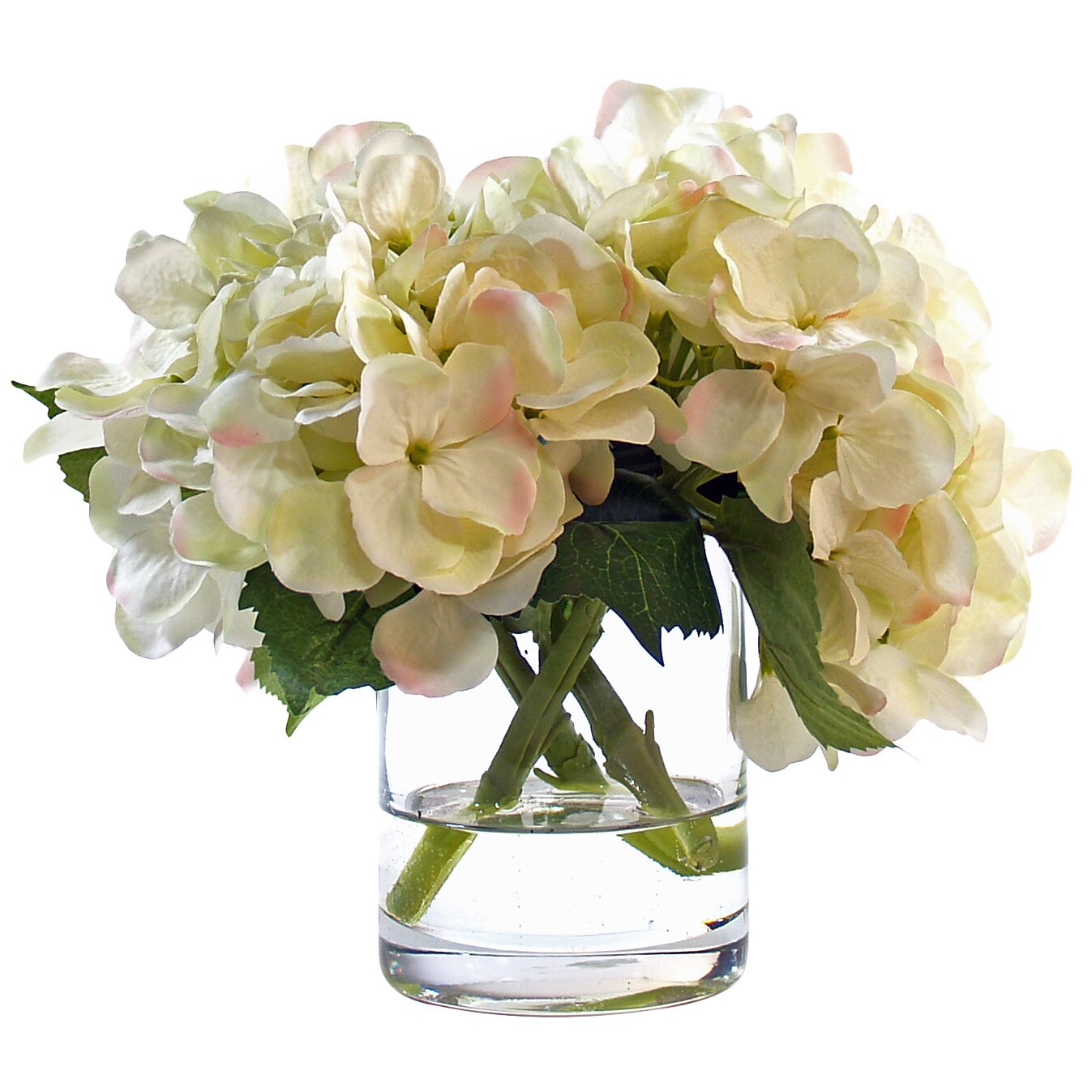 White Hydrangea in Glass Vase by Beachcrest Home