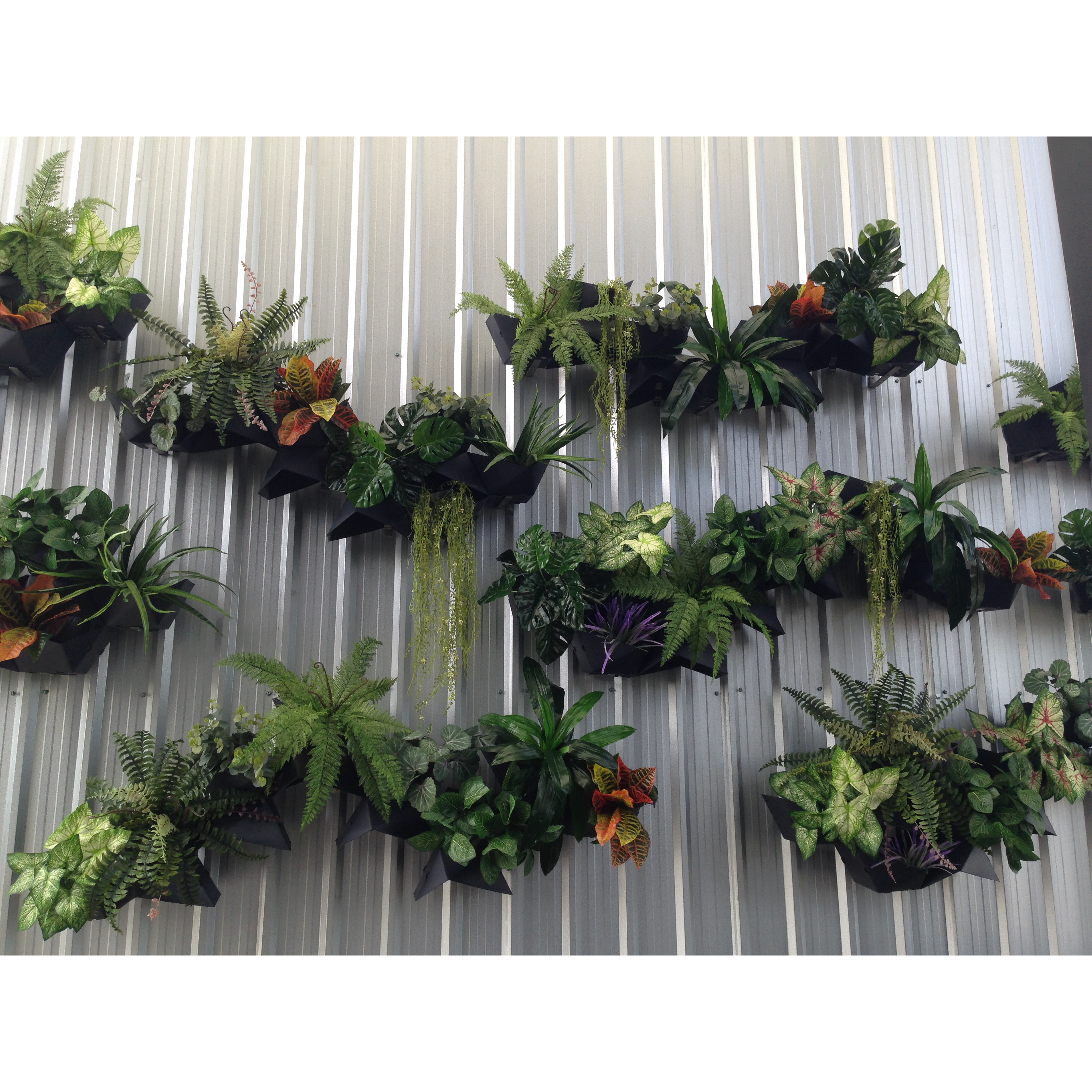 VPlant Novelty Wall Planter Wayfair