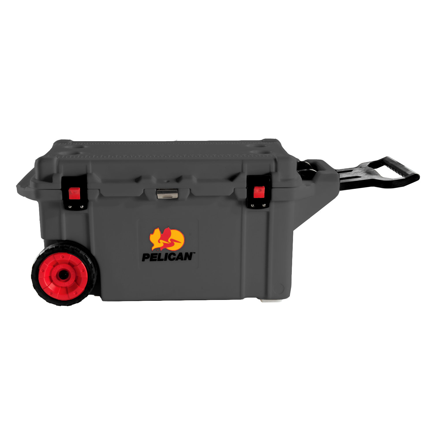 80 Qt. Wheeled Rotomolded Cooler Wayfair