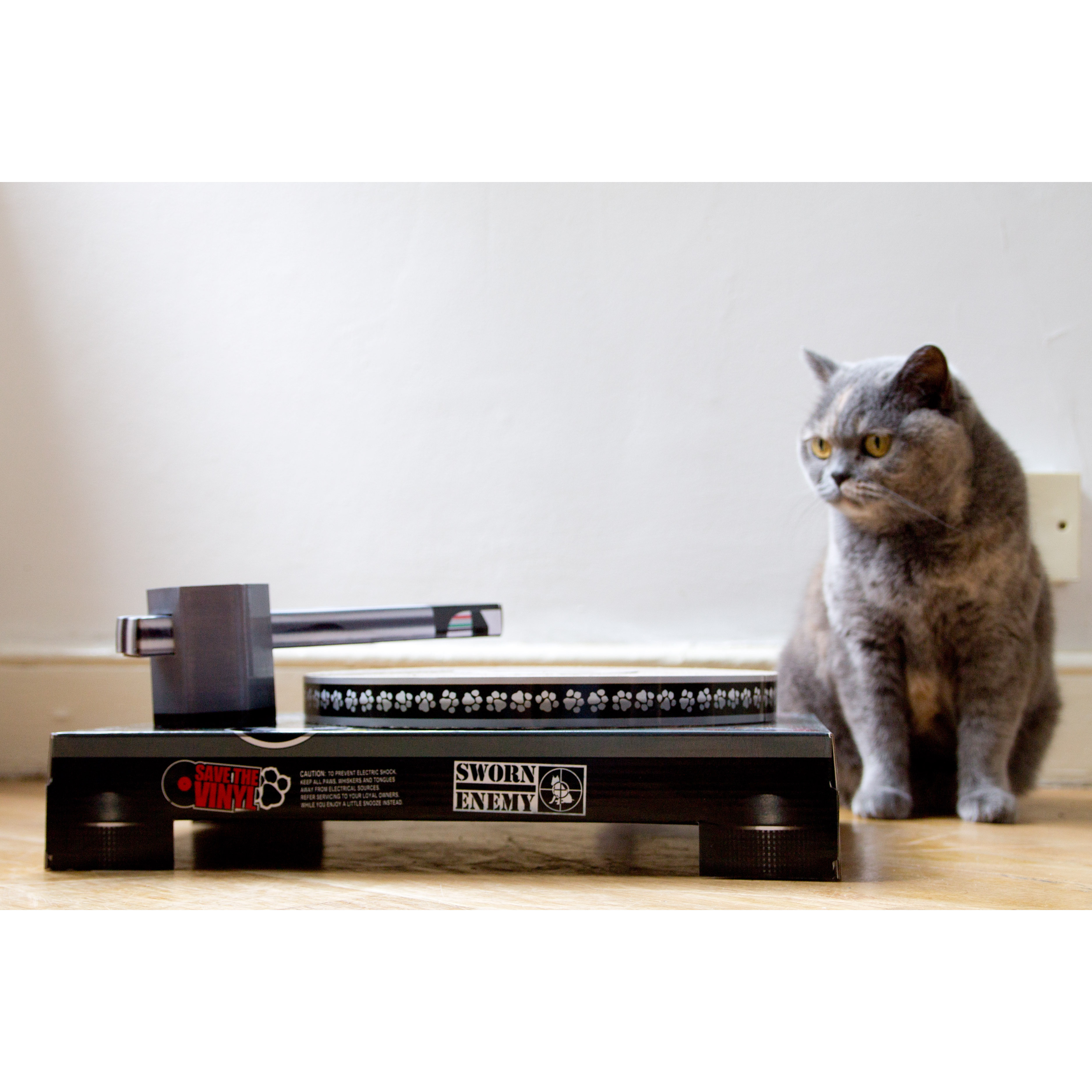 Cat DJ Scratching Deck Wayfair