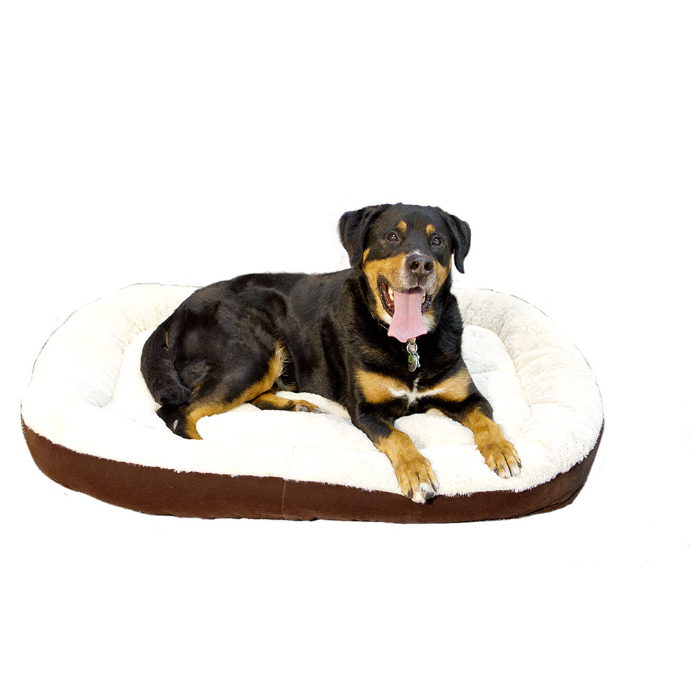 Extra Large Dog Bed The Range at Mary Bornstein blog