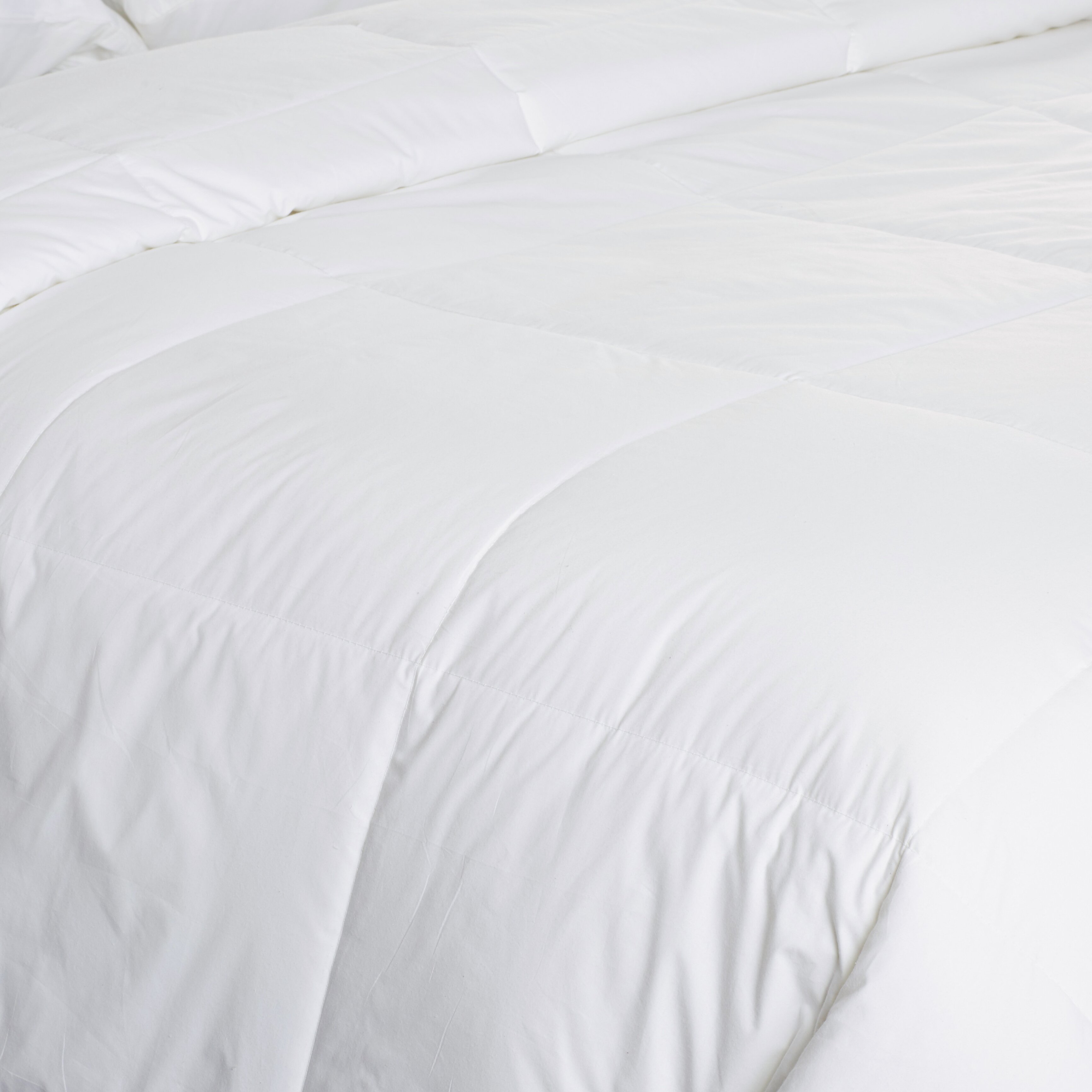 233 Thread Count All Season Down Alternative Comforter Wayfair 9681