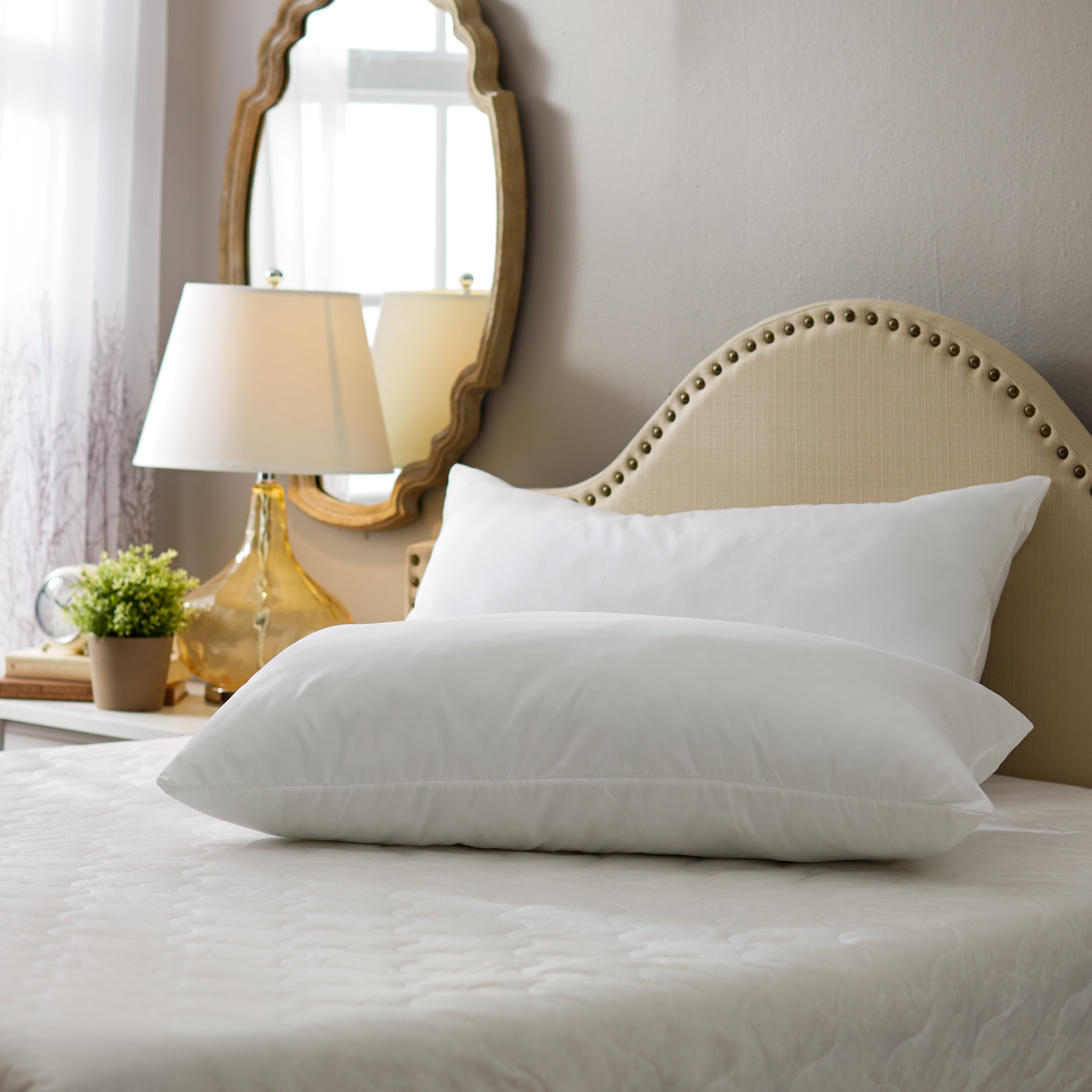 Wayfair Sleep Wayfair Sleep Firm Pillow & Reviews | Wayfair