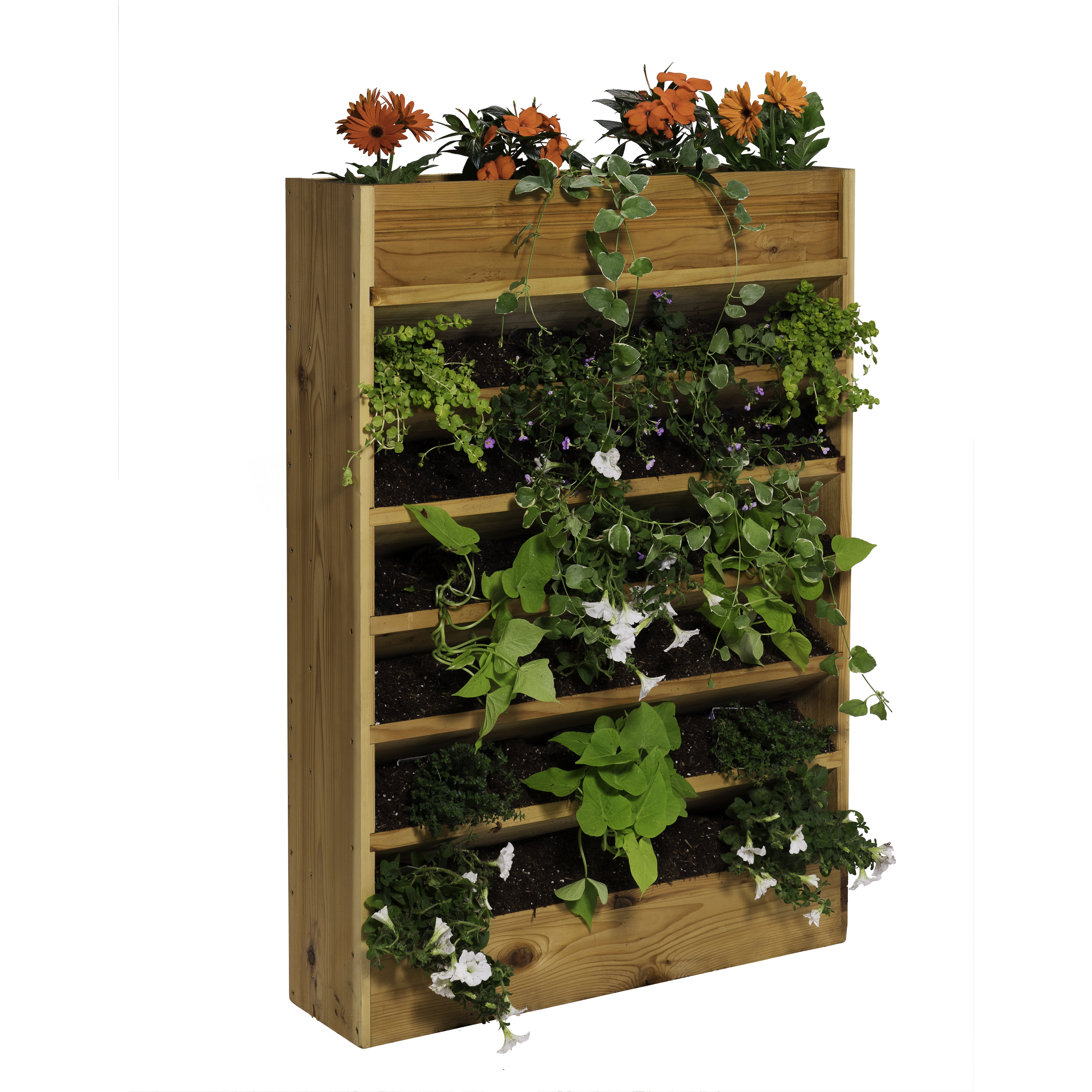 Rectangular Planter Box | Wayfair