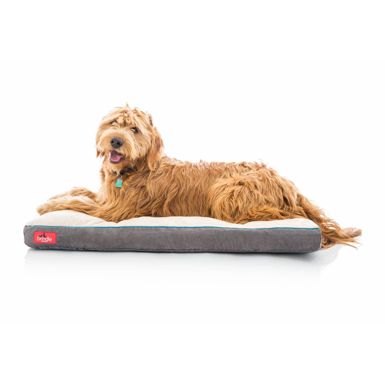 Soft Shredded Memory Foam Pet Bed Wayfair