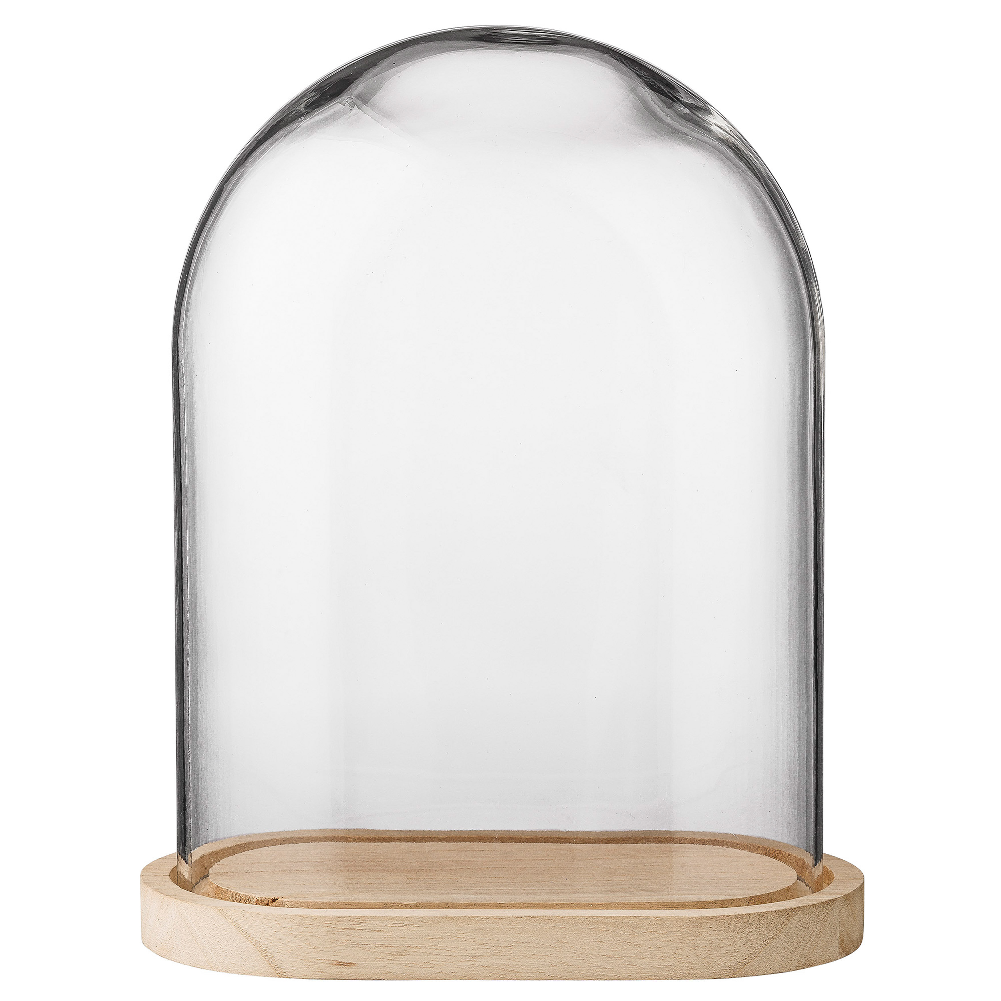 Wood Base Glass Cloche Wayfair