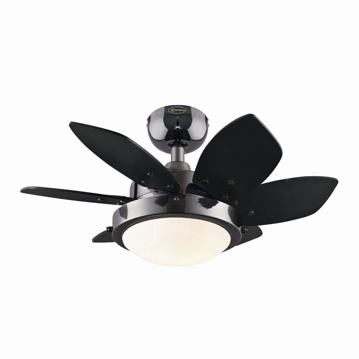 24" Quince 6 Blade Ceiling Fan | Wayfair