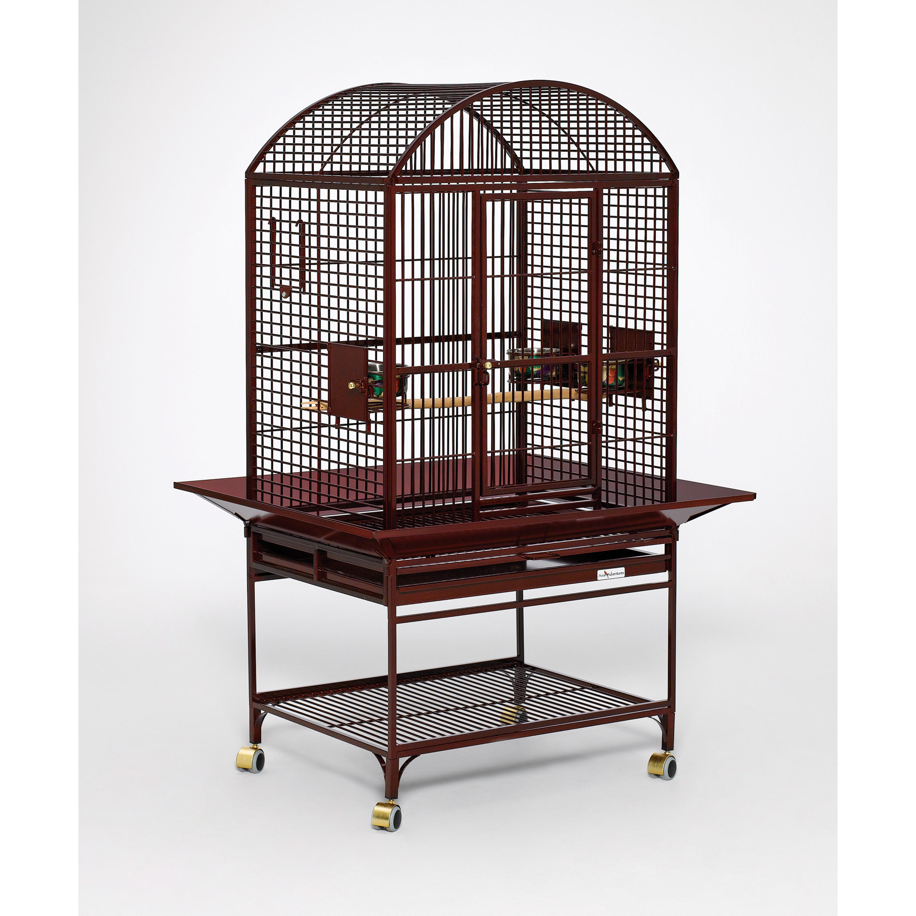 Avian Adventures Chiquita Play Top Bird Cage & Reviews Wayfair
