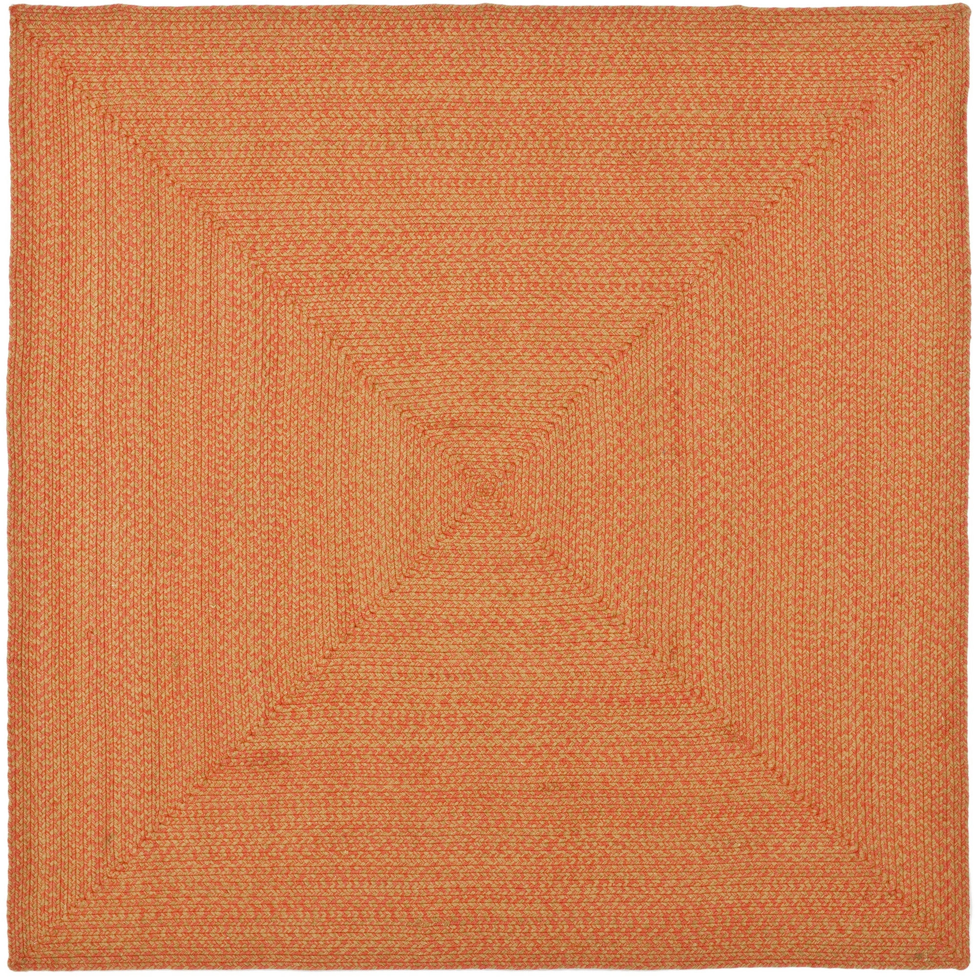 Safavieh Braided Beige/Multi Area Rug & Reviews Wayfair