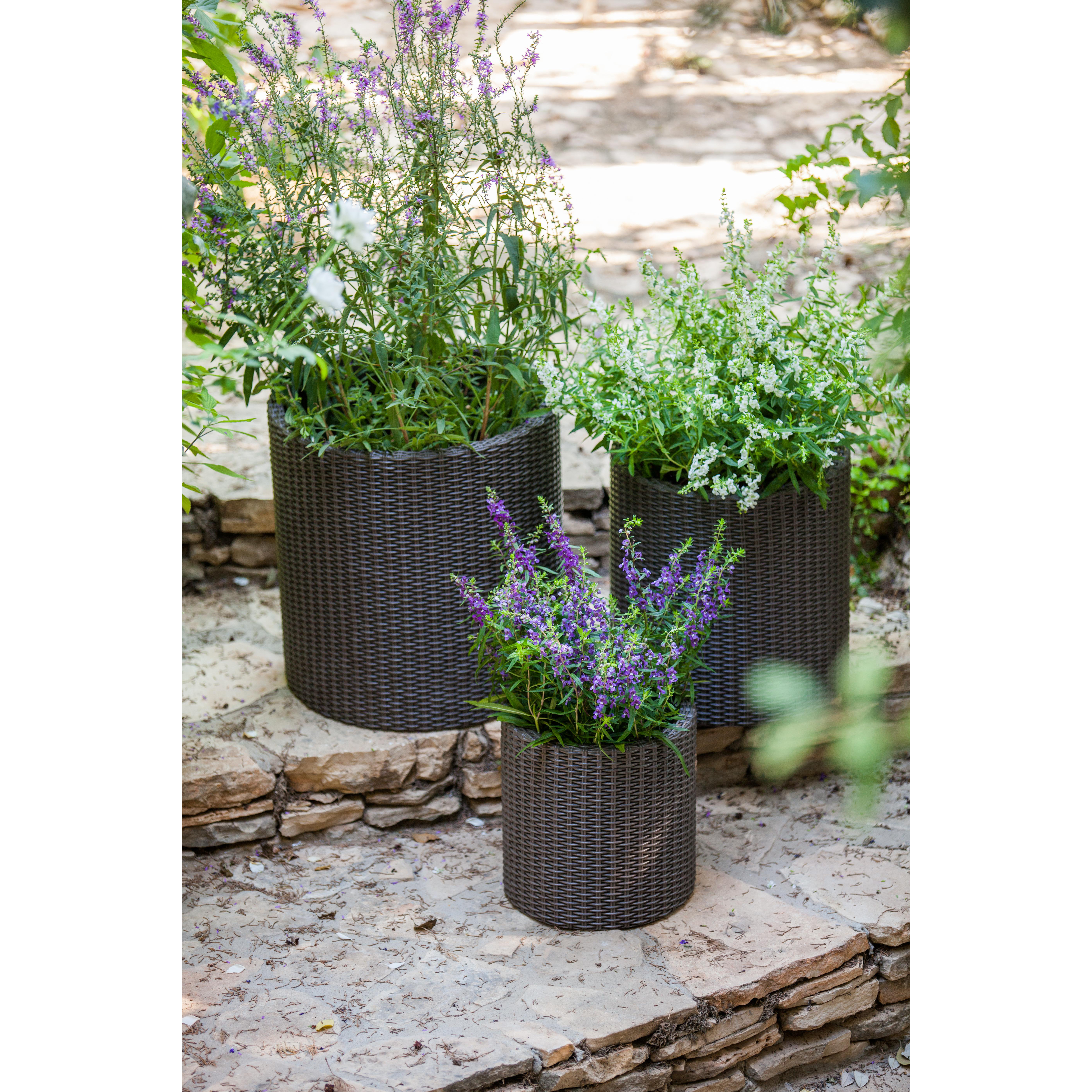 3 Piece Round Pot Planter Set Wayfair