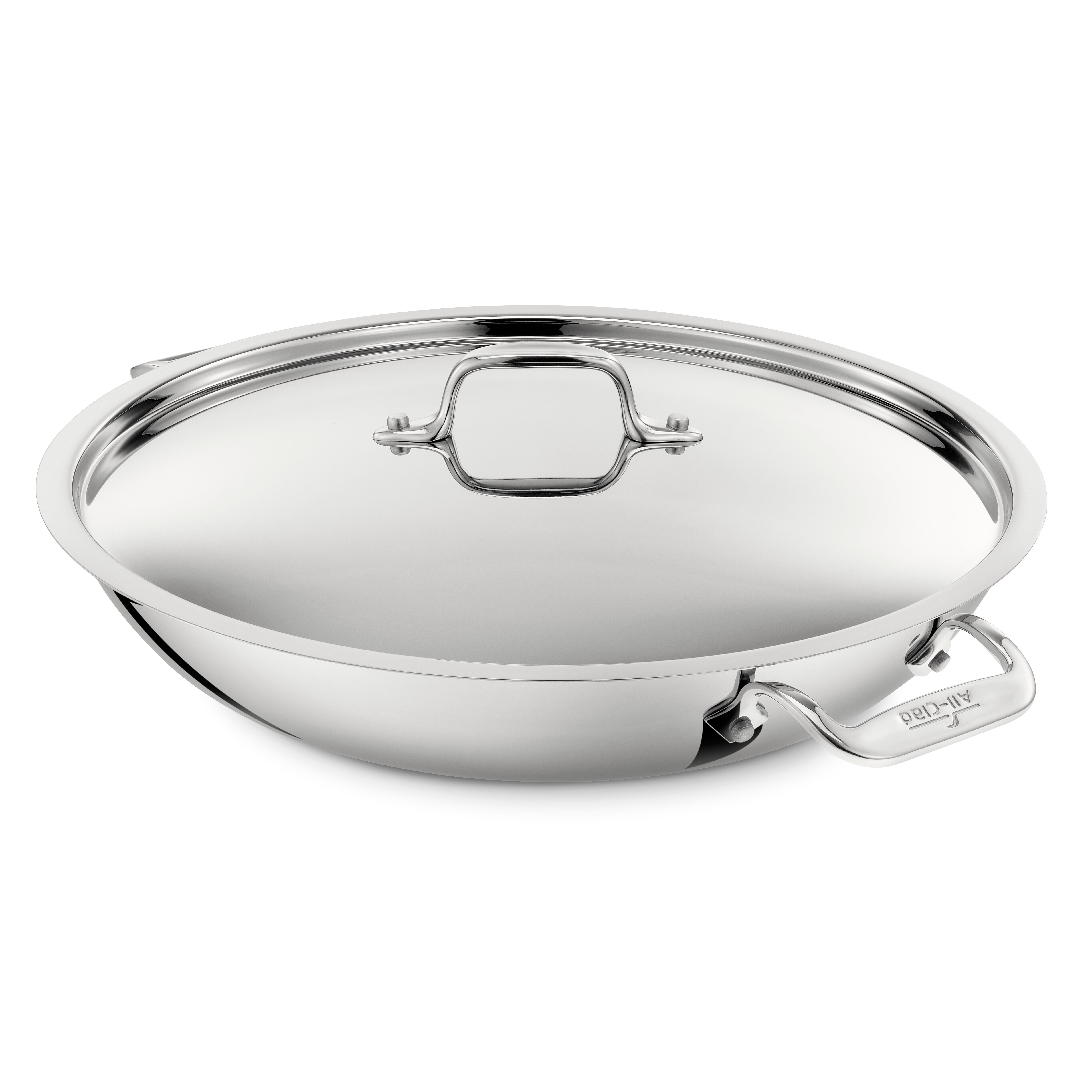 stainless-steel-13-paella-pan-with-lid-wayfair