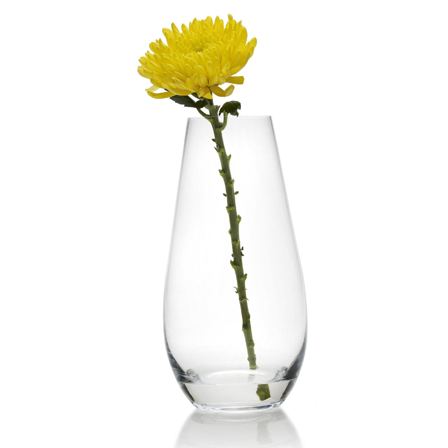 Mikasa Teardrop Glass Vase & Reviews Wayfair