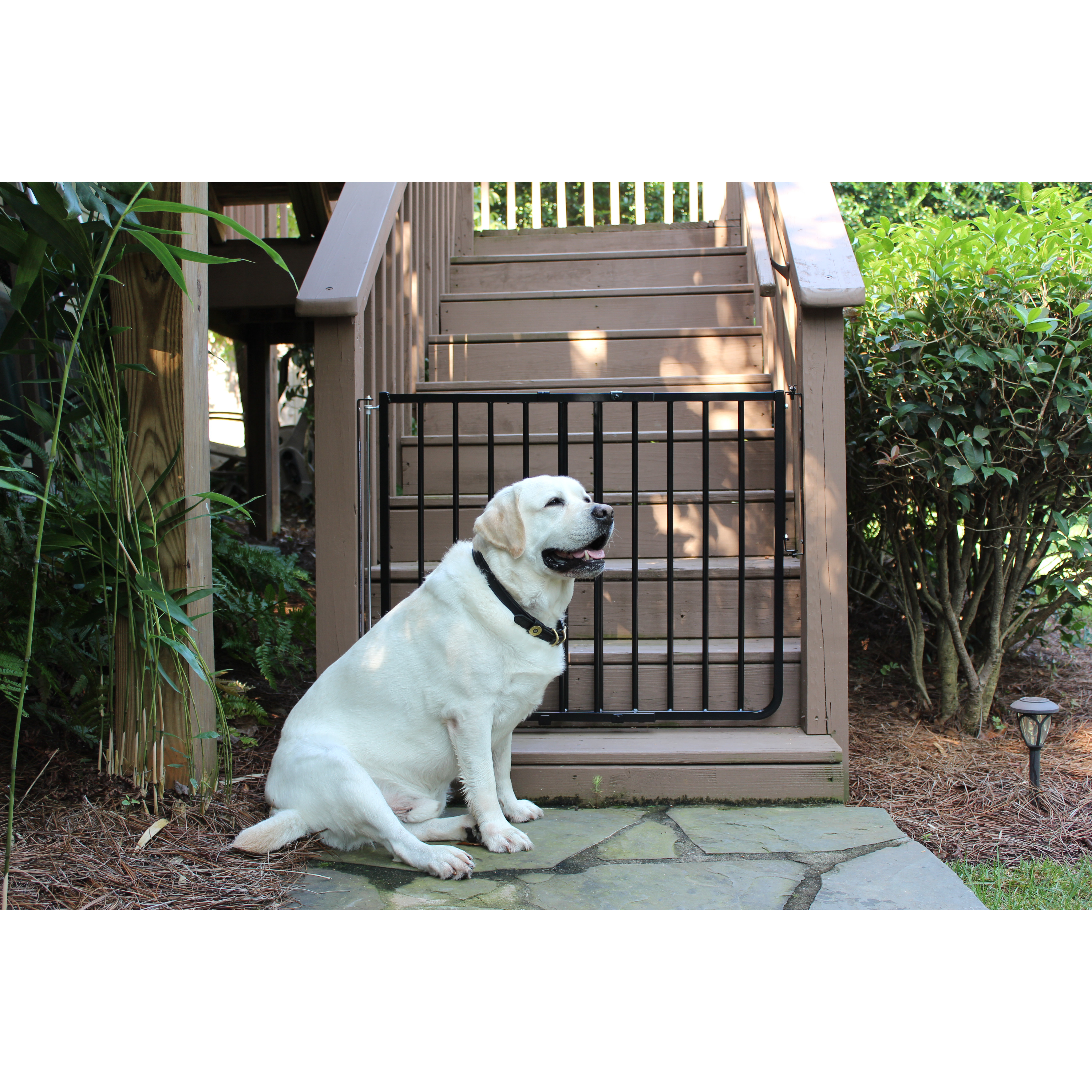 Cardinal Gates Stairway Special Outdoor Gate & Reviews Wayfair