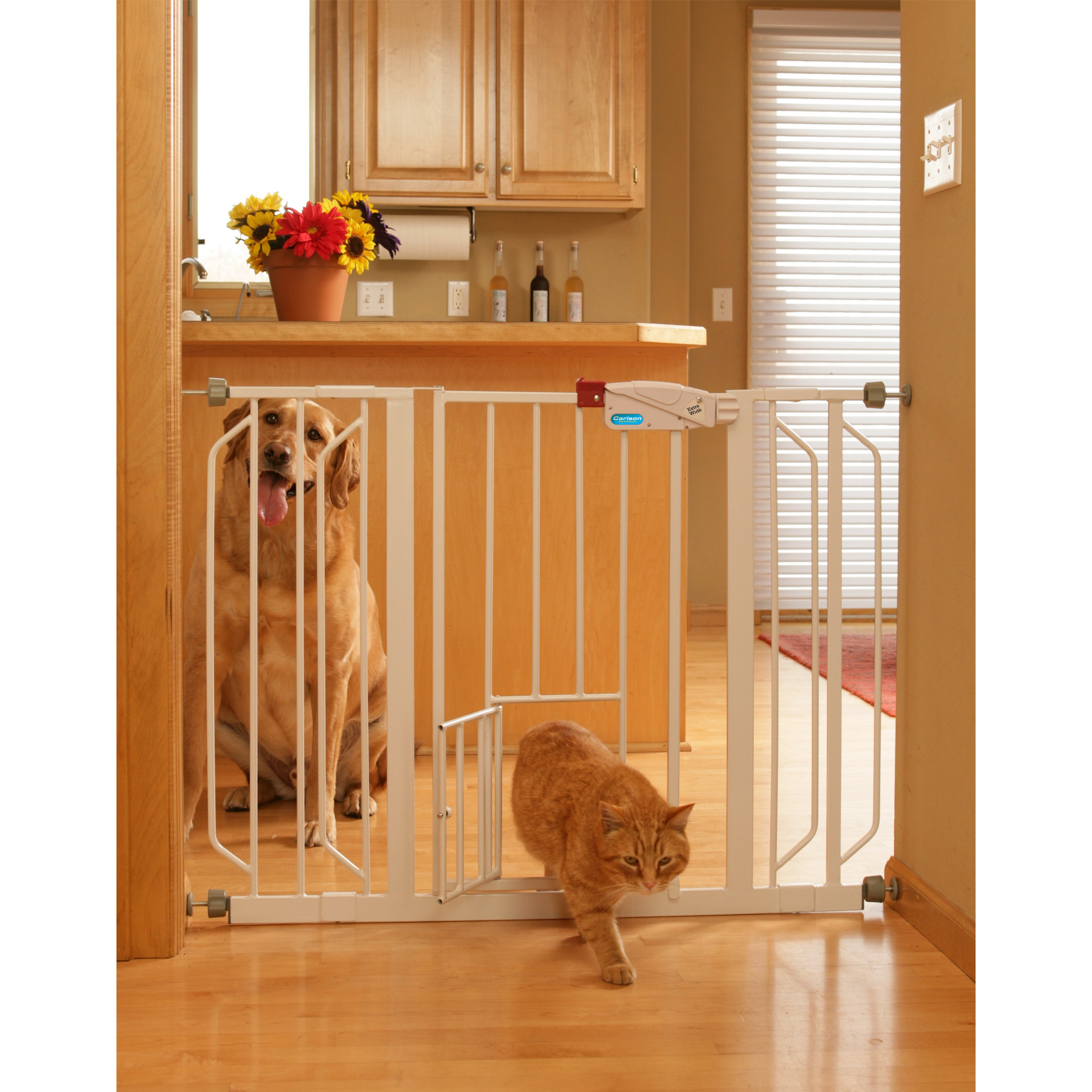 Extra Wide Pet Gate with Pet Door Wayfair