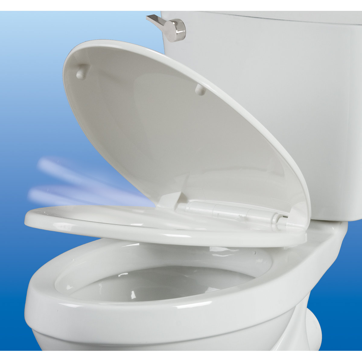 WaterSense Rear Outlet 1.28 GPF Round Toilet Bowl Wayfair