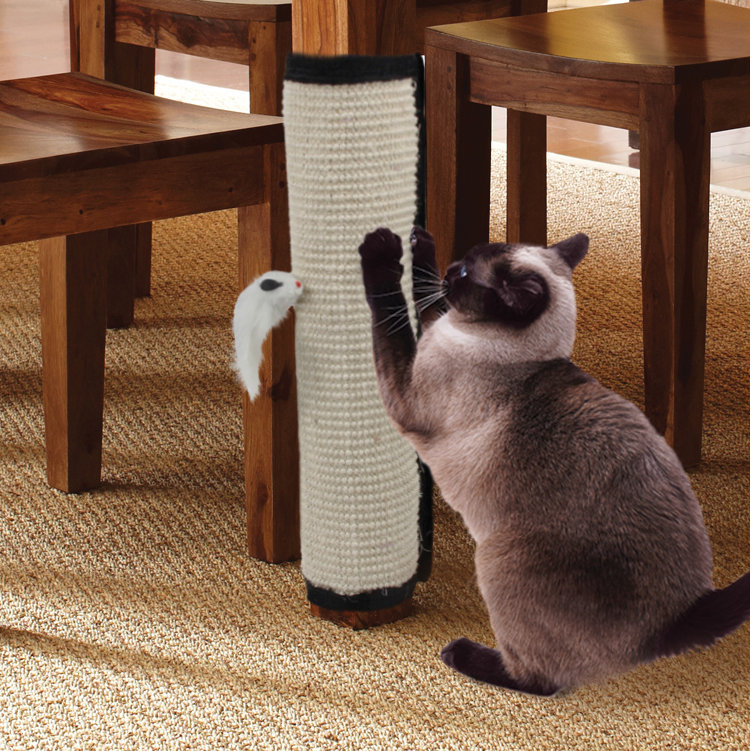 Cat Scratching Board Wayfair